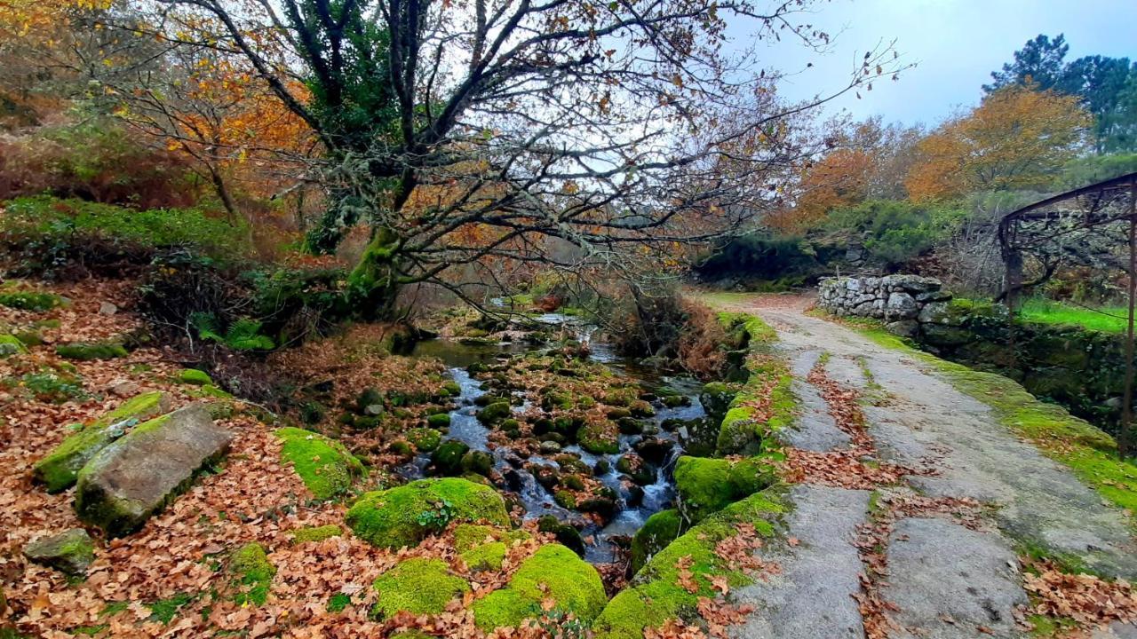 Casa Do Sertao Para 4 Pessoas -Geres Viana do Castelo Bagian luar foto